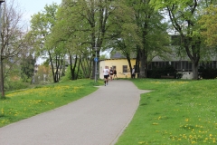 weissenburger_altstadtlauf_2013_20130526_1029453843