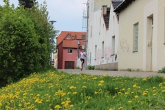 weissenburger_altstadtlauf_2013_20130526_1081206733