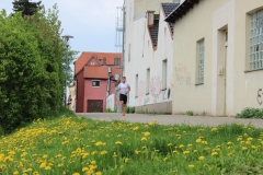 weissenburger_altstadtlauf_2013_20130526_1088686869