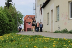 weissenburger_altstadtlauf_2013_20130526_1096977899