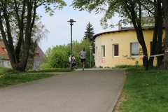 weissenburger_altstadtlauf_2013_20130526_1139859211