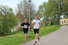 weissenburger_altstadtlauf_2013_20130526_1157652831