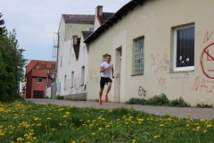 weissenburger_altstadtlauf_2013_20130526_1173538463
