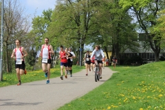 weissenburger_altstadtlauf_2013_20130526_1286446262
