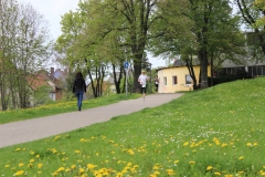 weissenburger_altstadtlauf_2013_20130526_1322737129