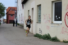 weissenburger_altstadtlauf_2013_20130526_1349016897