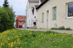 weissenburger_altstadtlauf_2013_20130526_1396451027