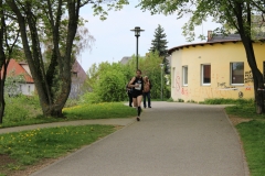 weissenburger_altstadtlauf_2013_20130526_1479544252