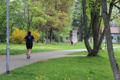 weissenburger_altstadtlauf_2013_20130526_1617289080
