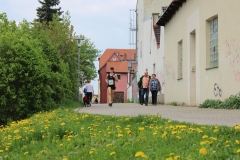 weissenburger_altstadtlauf_2013_20130526_1701882705