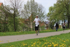 weissenburger_altstadtlauf_2013_20130526_1745715742