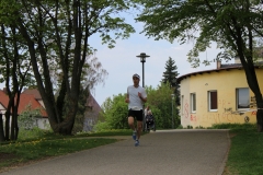 weissenburger_altstadtlauf_2013_20130526_1823637116