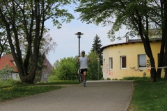weissenburger_altstadtlauf_2013_20130526_1831111477