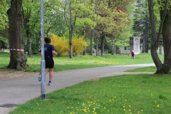 weissenburger_altstadtlauf_2013_20130526_1894401131