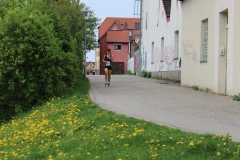 weissenburger_altstadtlauf_2013_20130526_1916937024