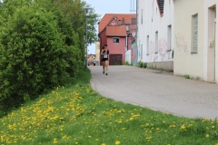 weissenburger_altstadtlauf_2013_20130526_1952759330