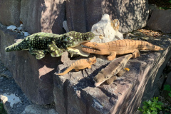 BD3F9964-53C8-4043-8BE0-0753CBC29B28