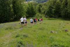 IMG_20200711_154953_resized_20200711_104705270