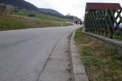 1_brauerreilauf_20120504_1068243030