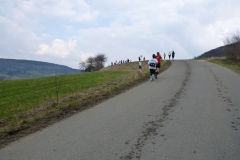 1_brauerreilauf_20120504_1288041115