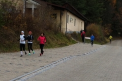 brauereilauf_2012_20121111_1553136965