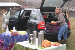 brauereilauf_2012_20121111_2070402894