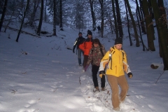 fackelwanderung_2010_13_20120503_1507501601