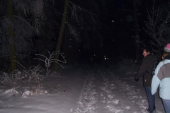fackelwanderung_2010_3_20120503_1687606649