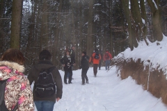 fackelwanderung_2010_9_20120503_1169754867