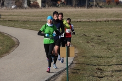 treuchtlinger_fruehjahrslauf_2013_20130318_2013487956
