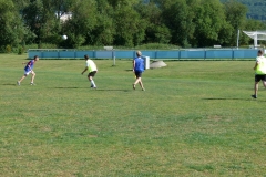 fussball_ledig_vs_verheiratet_20120823_1214306132