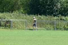 fussball_ledig_vs_verheiratet_20120823_1324294736