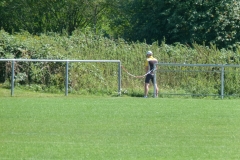 fussball_ledig_vs_verheiratet_20120823_1840914377