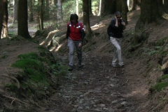 mtb-wochenende_geisskopf_20120504_1012828837