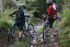 mtb-wochenende_geisskopf_20120504_1093673680