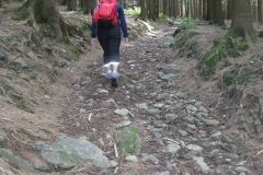 mtb-wochenende_geisskopf_20120504_1543433553