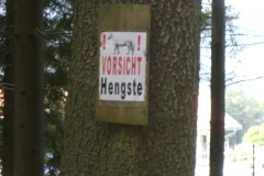 mtb-wochenende_geisskopf_20120504_1680323200