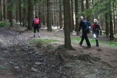 mtb-wochenende_geisskopf_20120504_1722509632