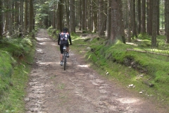 mtb-wochenende_geisskopf_20120504_1882816857