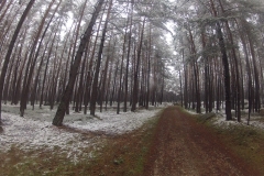 DCIM\100GOPRO