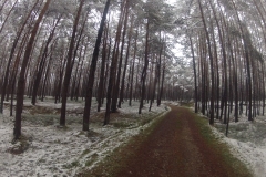 DCIM100GOPRO