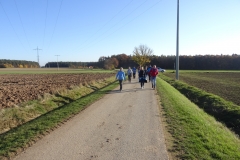bilder_der_wandergruppe_20151231_1064101763