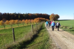 bilder_der_wandergruppe_20151231_1301530822