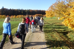bilder_der_wandergruppe_20151231_1535588721