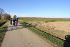 bilder_der_wandergruppe_20151231_2020507844