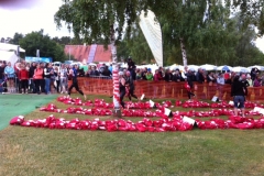 rothsee_triathlon_2013_20130630_1104872866