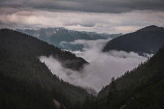 IMG_5219