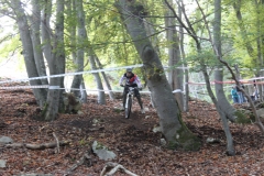 speciailized_enduro_series_20121016_1810592637